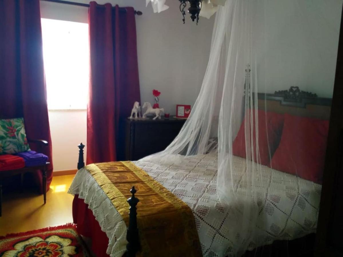 הוילה פנקובה Casa Aurora מראה חיצוני תמונה