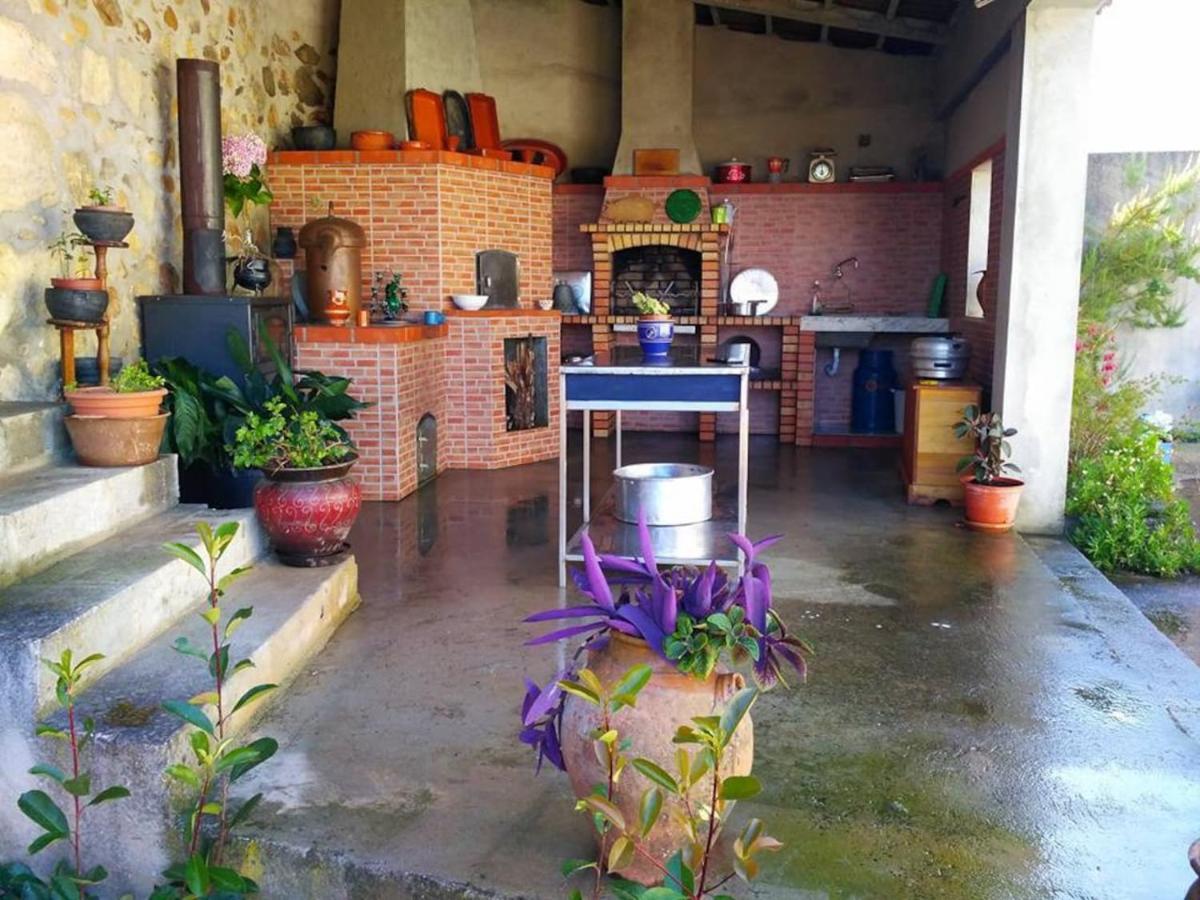 הוילה פנקובה Casa Aurora מראה חיצוני תמונה