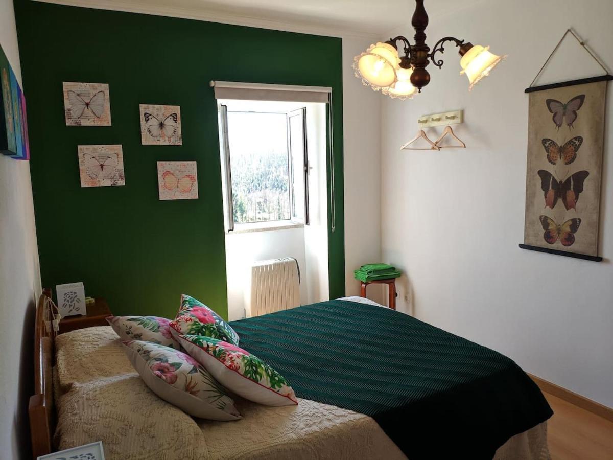 הוילה פנקובה Casa Aurora מראה חיצוני תמונה